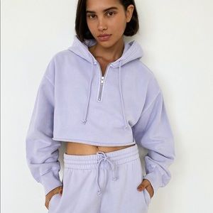 Aritzia / TNA Cozyfleece Boyfriend cropped hoodie